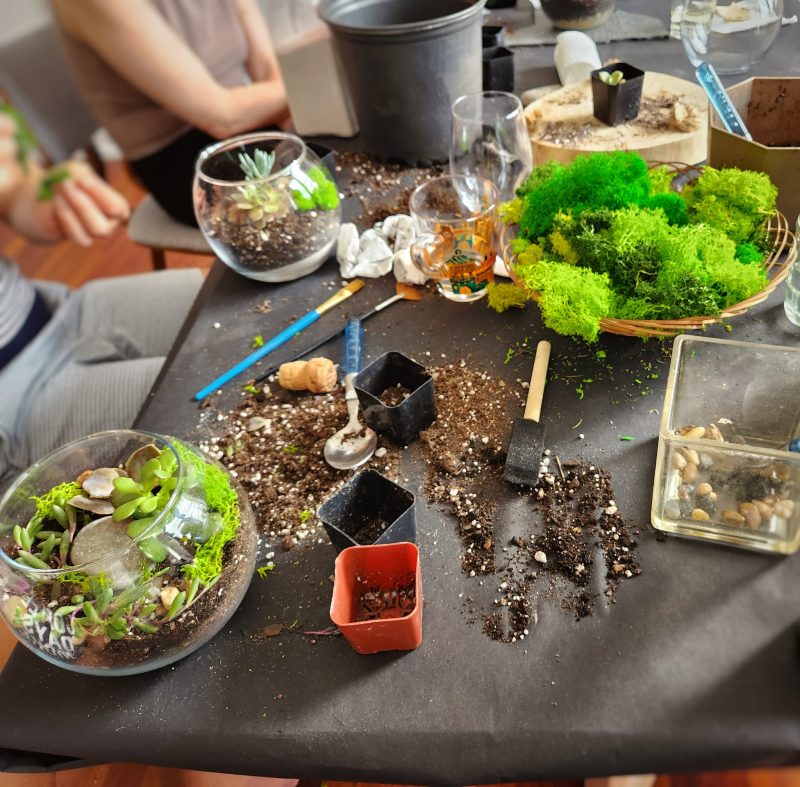 A table full of Succulent Terrarium Workshop making tools and materials